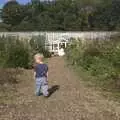 Fred roams about in the walled garden, Helicopters on the A14, and a Walk at Thornham, Suffolk - 7th October 2010