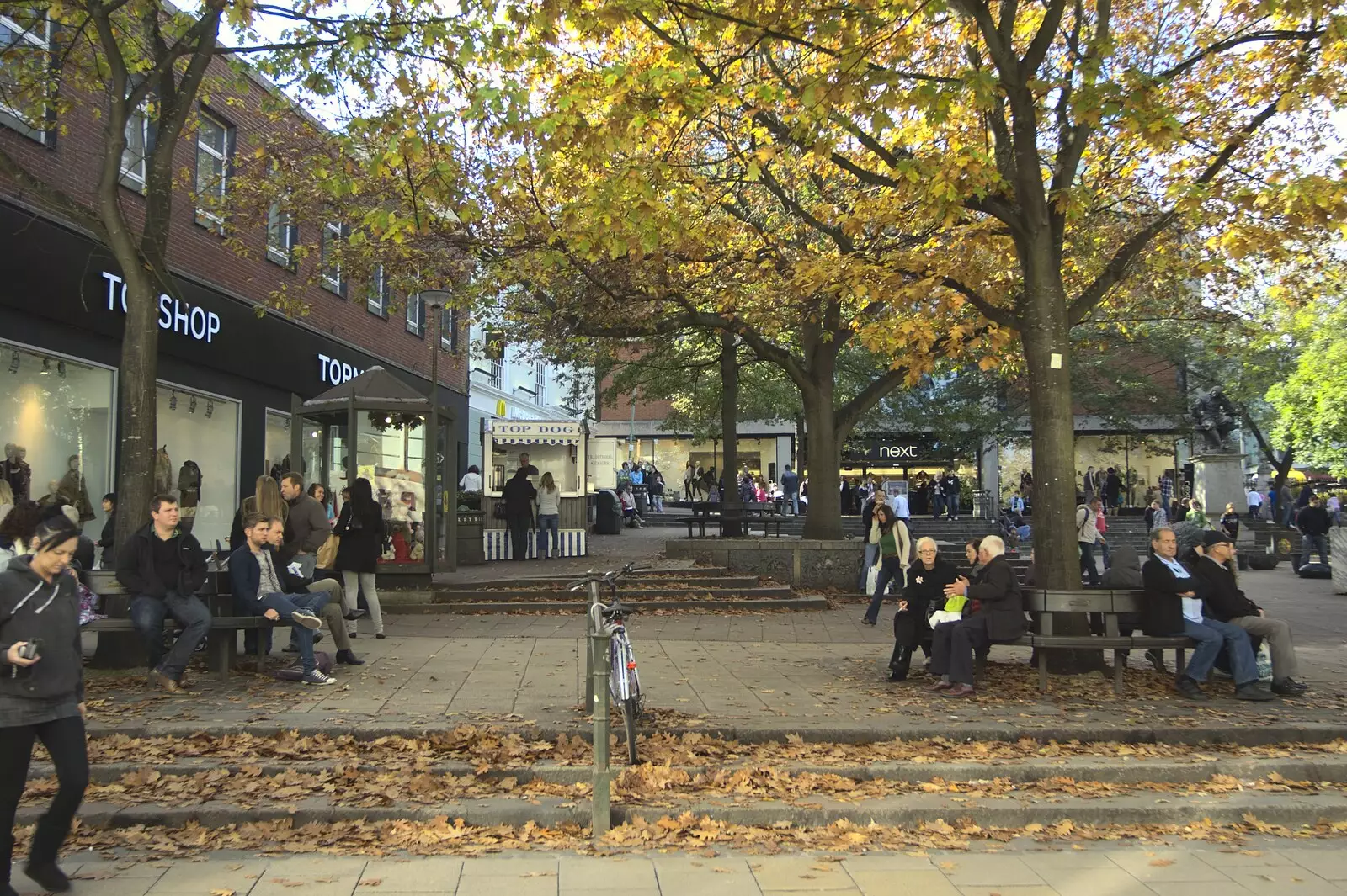 Autumn trees at the Haymarket, Norwich, from Norwich By Train, Norfolk - 16th October 2010