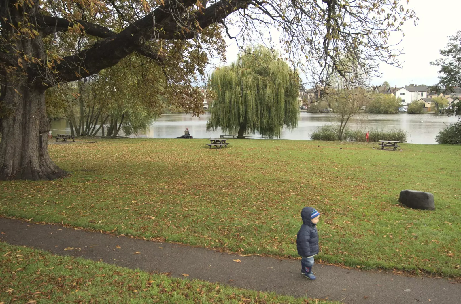 Fred on a path in the park, from Gemma Leaves, The Mellis Railway and Taptu Moves Desks, Cambridge - 24th October 2010