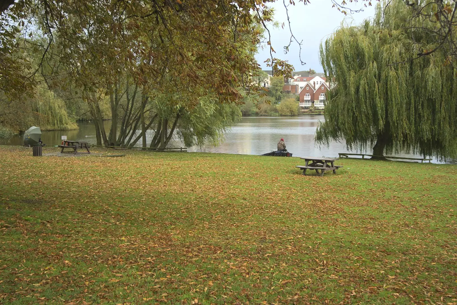 Autumn leaves in Diss Park, from Gemma Leaves, The Mellis Railway and Taptu Moves Desks, Cambridge - 24th October 2010