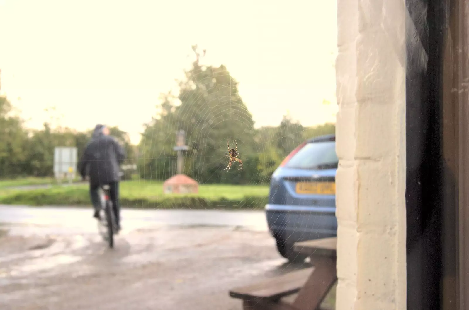 The stripey spider waits to grab a cyclist, from Gemma Leaves, The Mellis Railway and Taptu Moves Desks, Cambridge - 24th October 2010