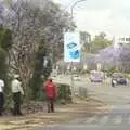 Purple blossom is everywhere, Nairobi and the Road to Maasai Mara, Kenya, Africa - 1st November 2010