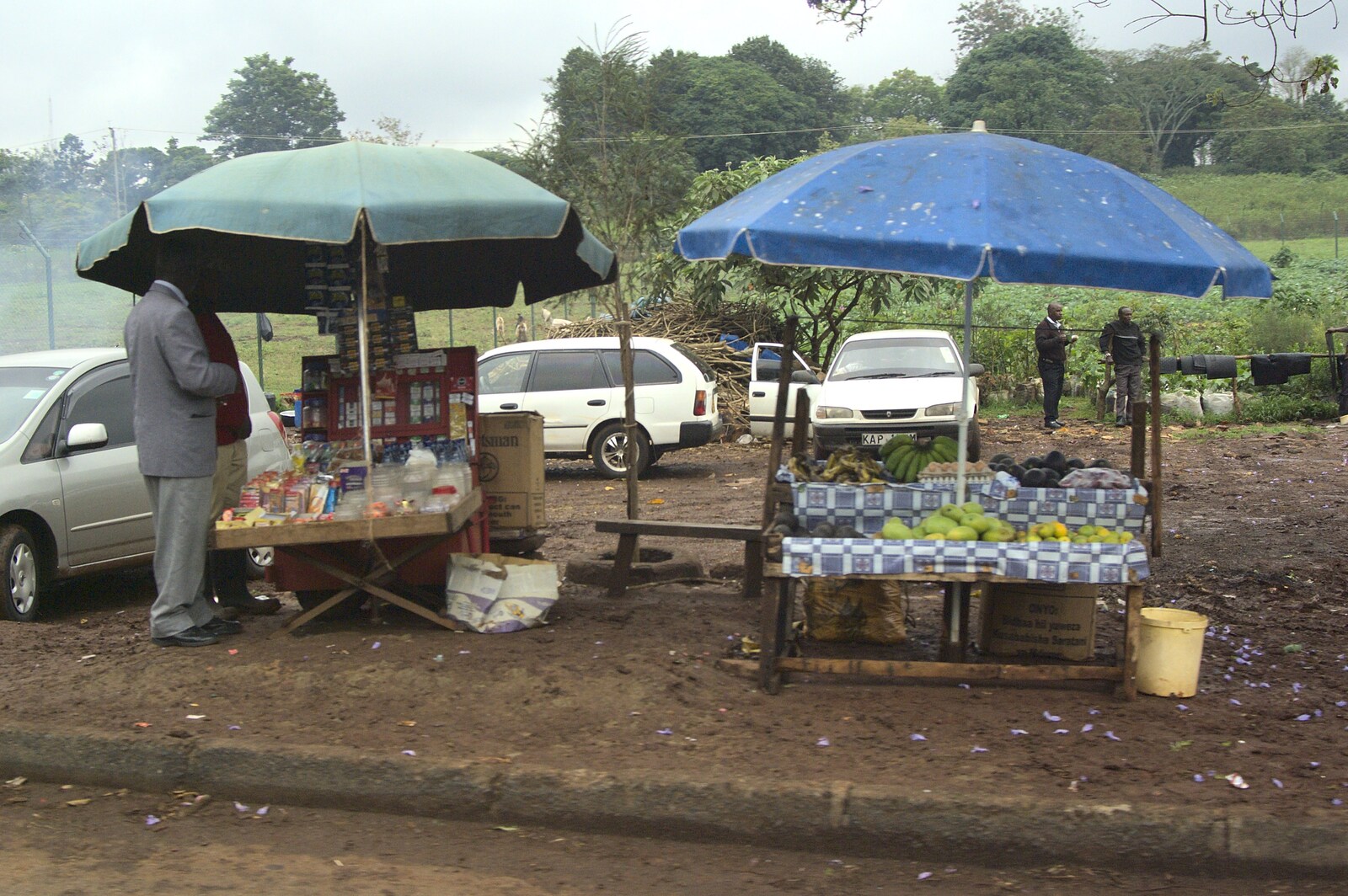 Roadside stalls on Limuru Road from Nairobi and the Road to Maasai Mara, Kenya, Africa - 1st November 2010