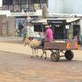 A donkey and cart on Limuru Road, Nairobi and the Road to Maasai Mara, Kenya, Africa - 1st November 2010