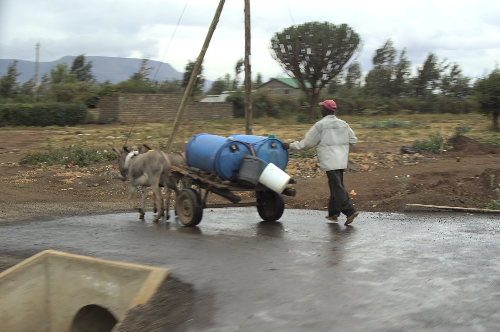 Donkeys haul a cart with some barrels on from Nairobi and the Road to Maasai Mara, Kenya, Africa - 1st November 2010