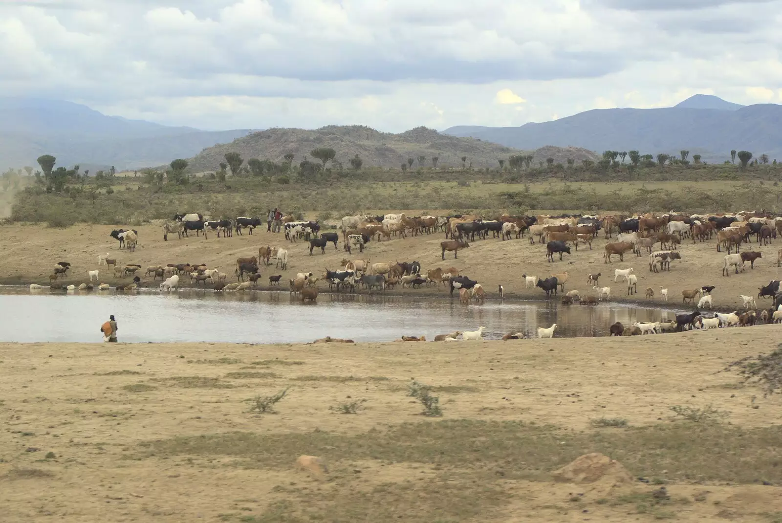 A watering hole, from Nairobi and the Road to Maasai Mara, Kenya, Africa - 1st November 2010