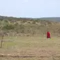 A herd of donkeys, Narok to Naivasha and Hell's Gate National Park, Kenya, Africa - 5th November 2010