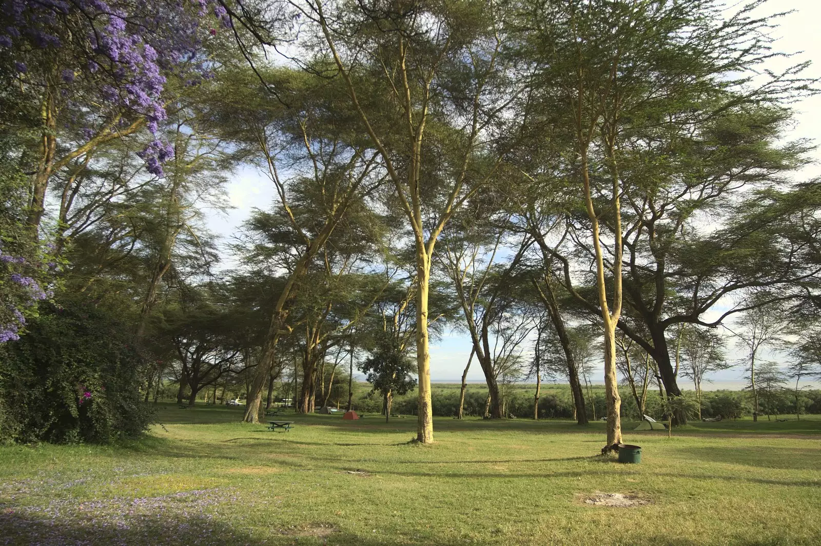 Another view of our camp, from Narok to Naivasha and Hell's Gate National Park, Kenya, Africa - 5th November 2010