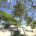 Our stunning private beach, Long Train (not) Runnin': Tiwi Beach, Mombasa, Kenya - 7th November 2010