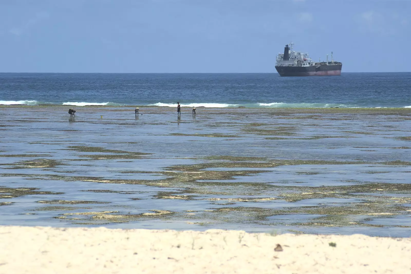 Women pick small shells to make necklaces, from Long Train (not) Runnin': Tiwi Beach, Mombasa, Kenya - 7th November 2010