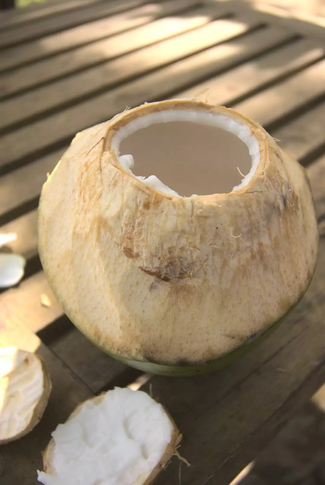 A fresh coconut, straight from the tree, from Long Train (not) Runnin': Tiwi Beach, Mombasa, Kenya - 7th November 2010