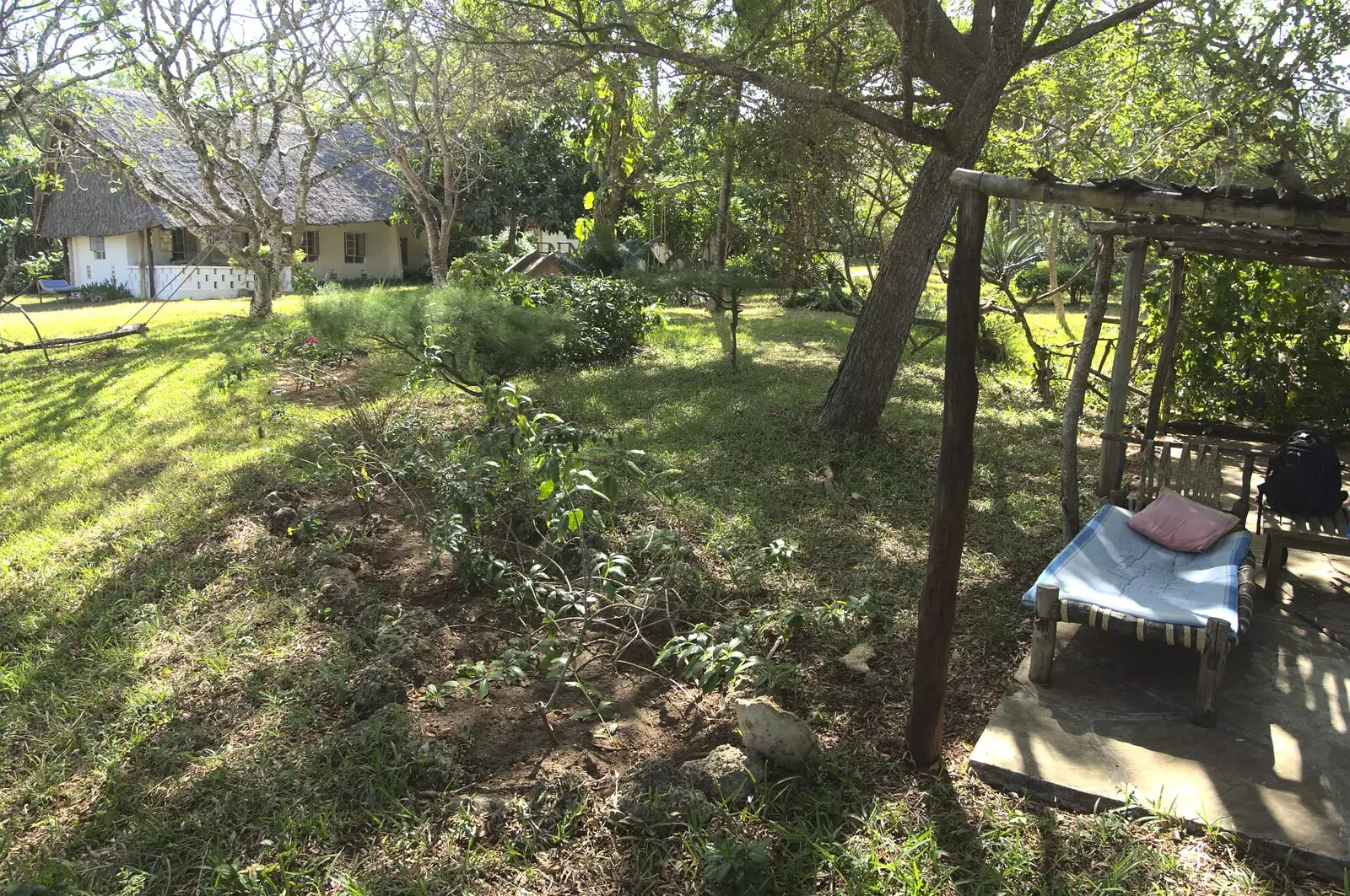 Our little garden area, from Long Train (not) Runnin': Tiwi Beach, Mombasa, Kenya - 7th November 2010