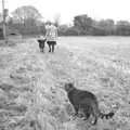 Boris mills around as Fred and Isobel wander off, Apple Pressing and Amandine's Jazz, Diss, Norfolk - 21st November 2010