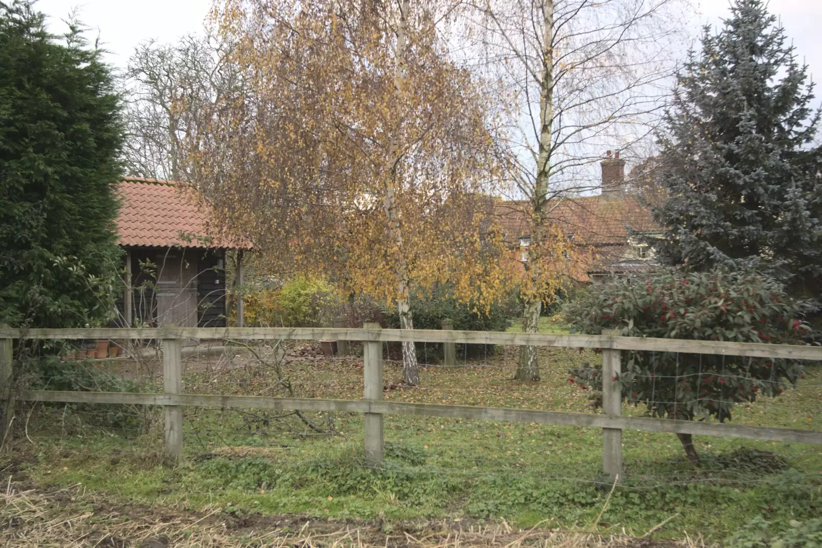 An autumnal back garden, from Apple Pressing and Amandine's Jazz, Diss, Norfolk - 21st November 2010