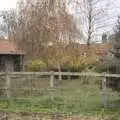 An autumnal back garden, Apple Pressing and Amandine's Jazz, Diss, Norfolk - 21st November 2010