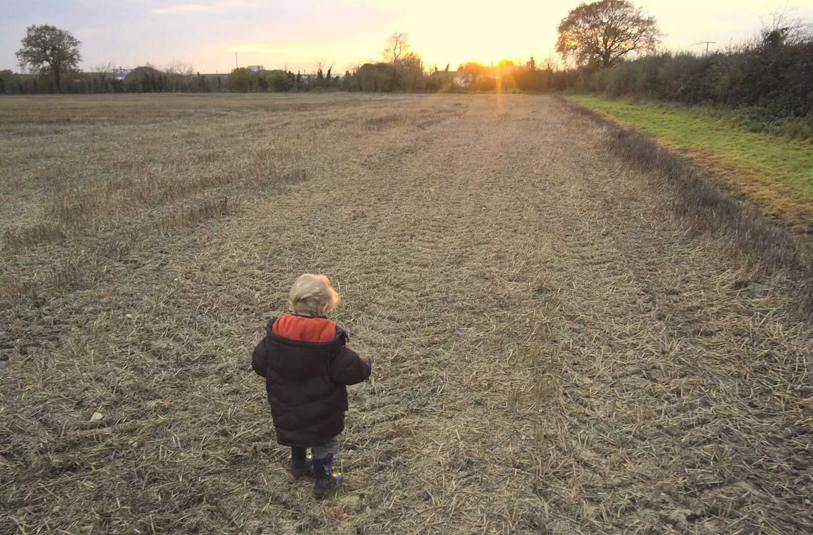 Fred in the sunset, from Apple Pressing and Amandine's Jazz, Diss, Norfolk - 21st November 2010