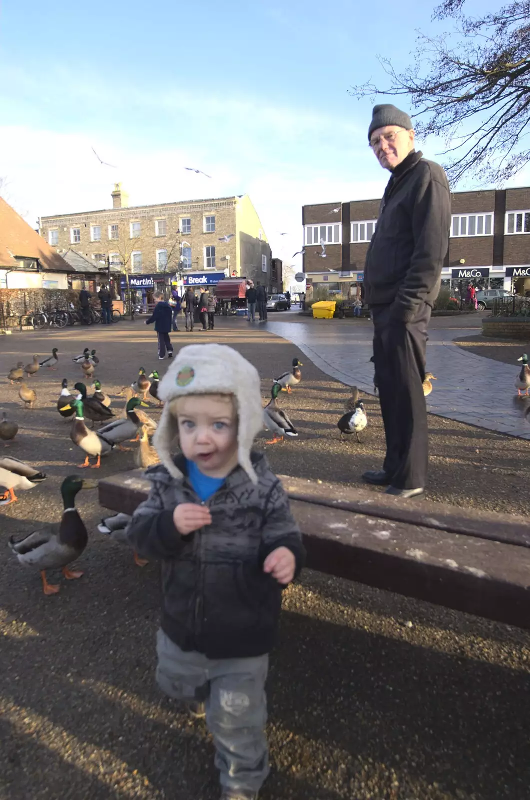 Fred roams about as Grandad watches, from Ducks by the Mere, and Christmas Tree Decoration, Brome, Suffolk - 12th December 2010