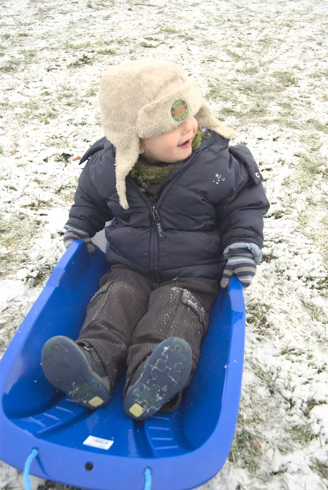 Fred in his sledge, from Sledging, A Trip to the Zoo, and Thrandeston Carols, Diss and Banham, Norfolk - 20th December 2010