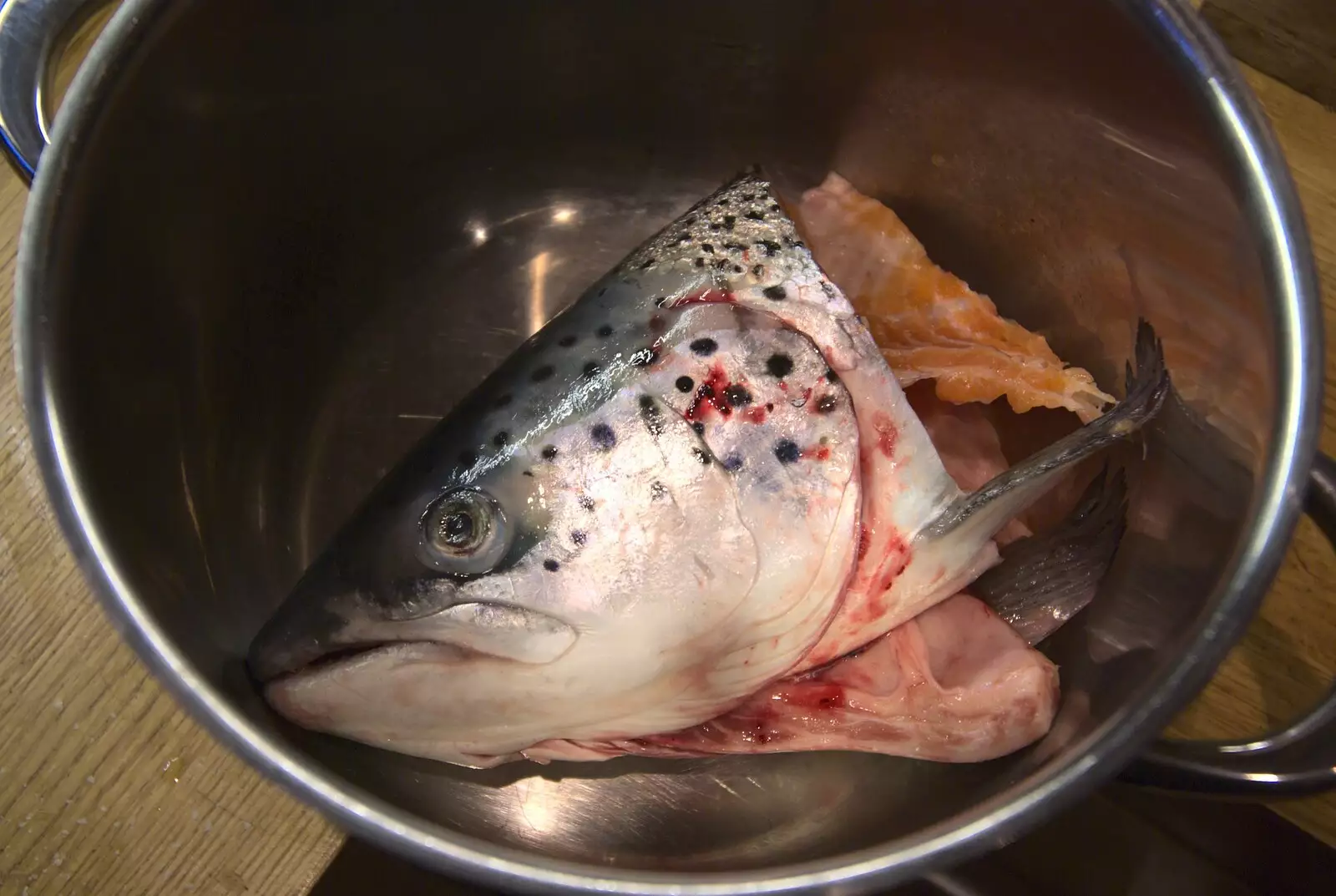 A spotty fish head in a bowl, from Sledging, A Trip to the Zoo, and Thrandeston Carols, Diss and Banham, Norfolk - 20th December 2010