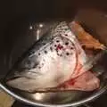 A spotty fish head in a bowl, Sledging, A Trip to the Zoo, and Thrandeston Carols, Diss and Banham, Norfolk - 20th December 2010