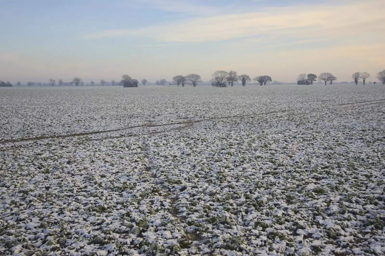 The snowy fields of Norfolk, from Sledging, A Trip to the Zoo, and Thrandeston Carols, Diss and Banham, Norfolk - 20th December 2010