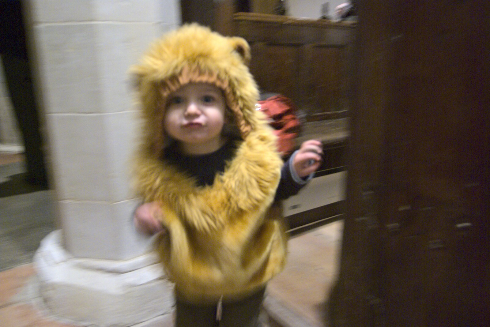 Fred in his lion costume from Sledging, A Trip to the Zoo, and Thrandeston Carols, Diss and Banham, Norfolk - 20th December 2010