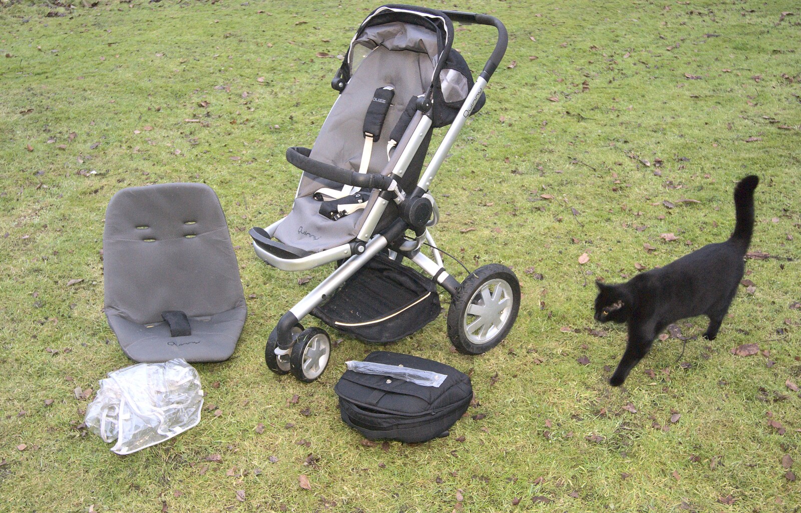 New Year's Day, and The Miserable Rich at the Arts Centre, Southwold and Norwich - 1st January 2011: Millie inspects the buggy on the lawn