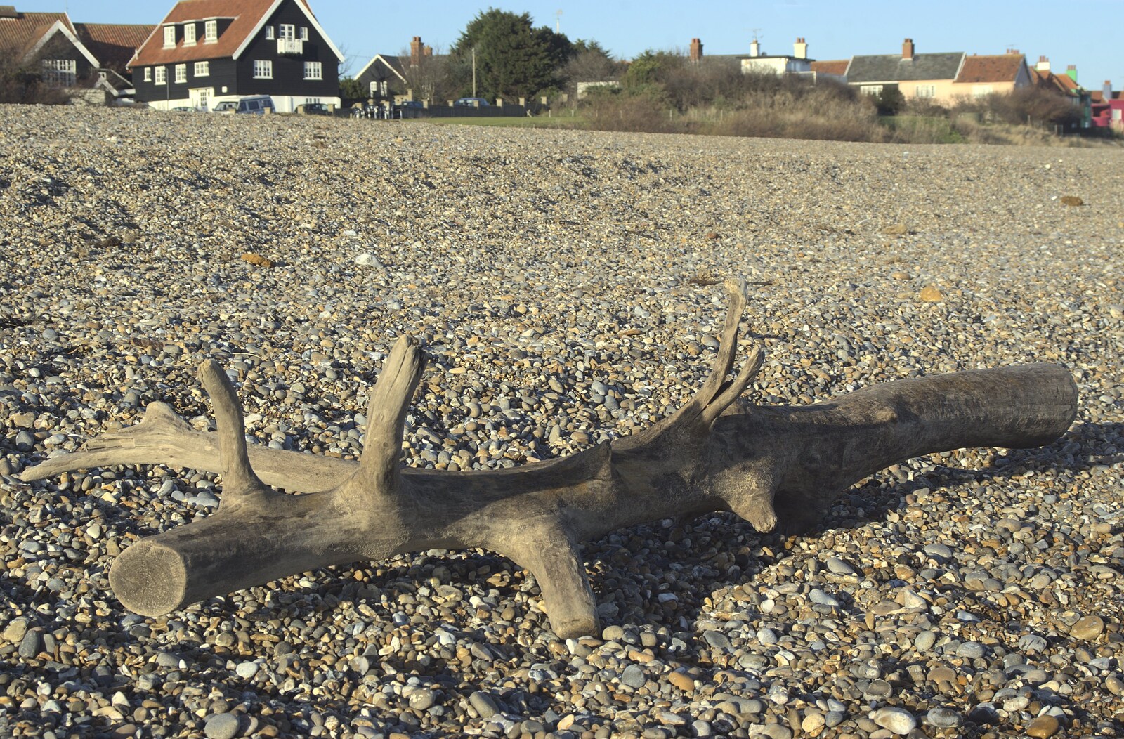 A Trip to Thorpeness, Suffolk - 9th January 2011: Driftwood