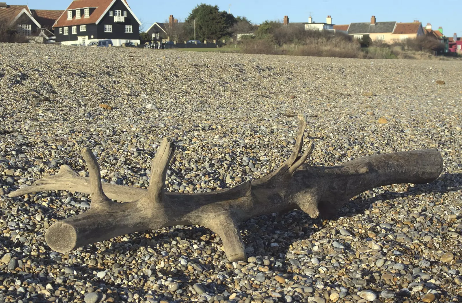 Driftwood, from A Trip to Thorpeness, Suffolk - 9th January 2011