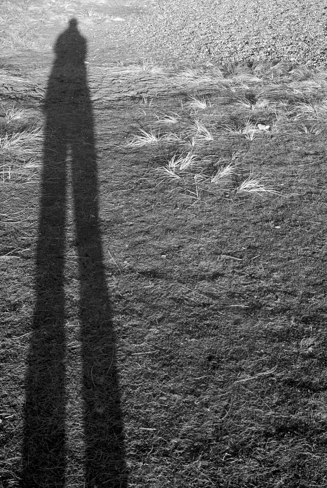 Nosher casts a very long shadow, from A Trip to Thorpeness, Suffolk - 9th January 2011