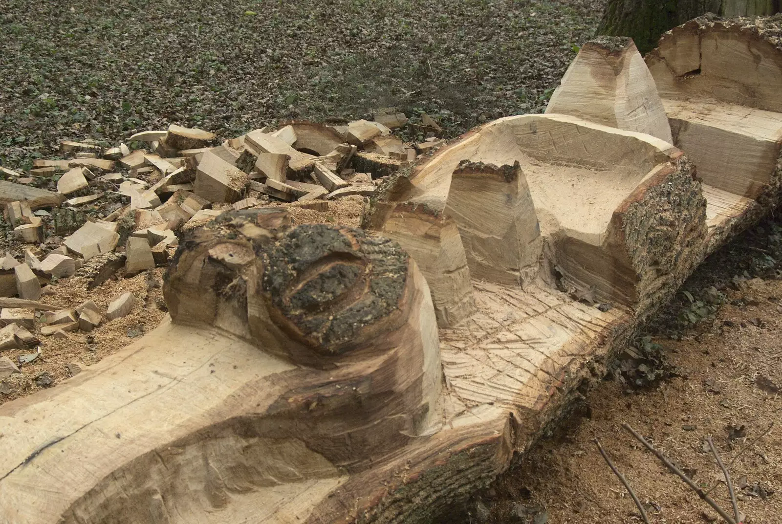 A new wood feature is being carved, from Thornham Walks, and a Swiss Fondue, Thornham and Cambridge - 23rd January 2011