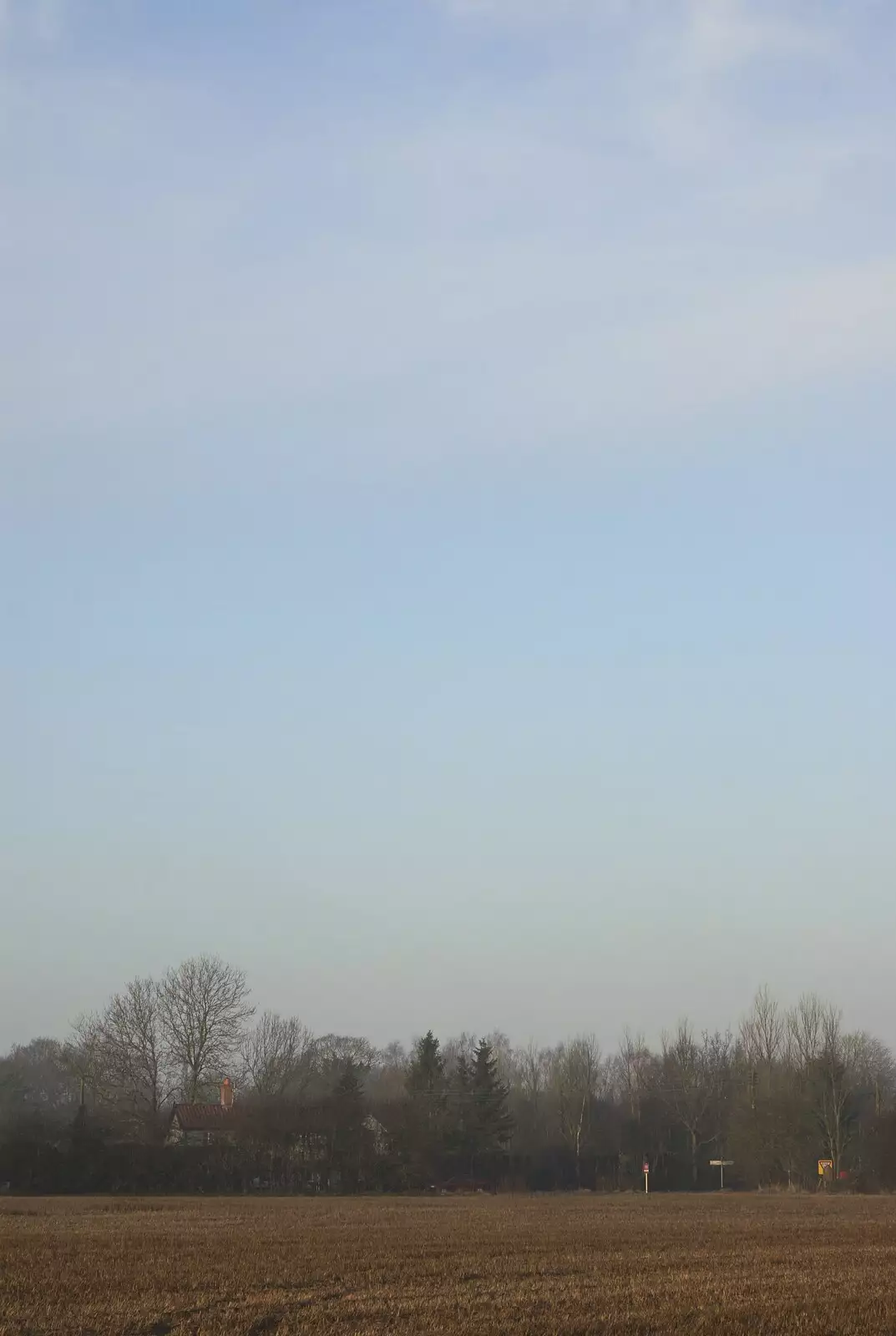A winter sky, from Thornham Walks, and a Swiss Fondue, Thornham and Cambridge - 23rd January 2011