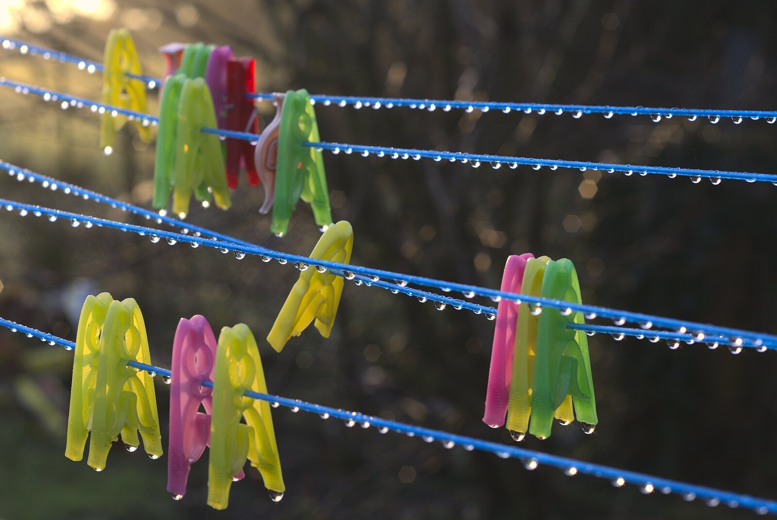 Wet colourful pegs on a line from Thornham Walks, and a Swiss Fondue, Thornham and Cambridge - 23rd January 2011