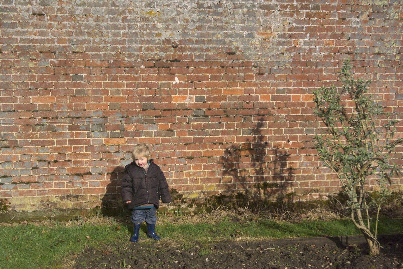Fred stands by a Victorian garden wall from Fun Lovin' Criminals at the UEA, The BBs Rehearse, and Thornham Walks, Norwich and Suffolk - 14th February 2011