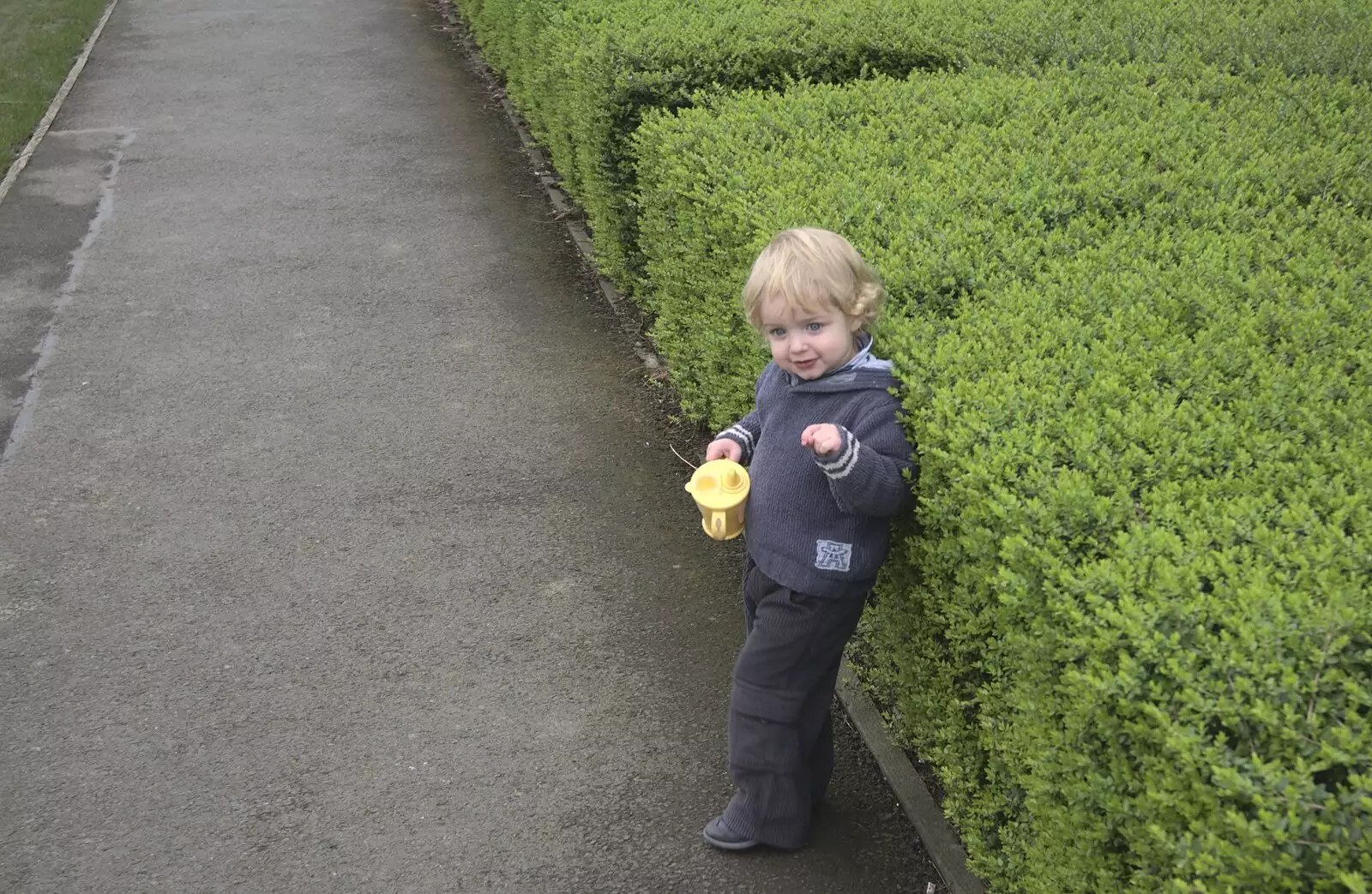 Fred leans on a hedge, from A Week in Monkstown, County Dublin, Ireland - 1st March 2011