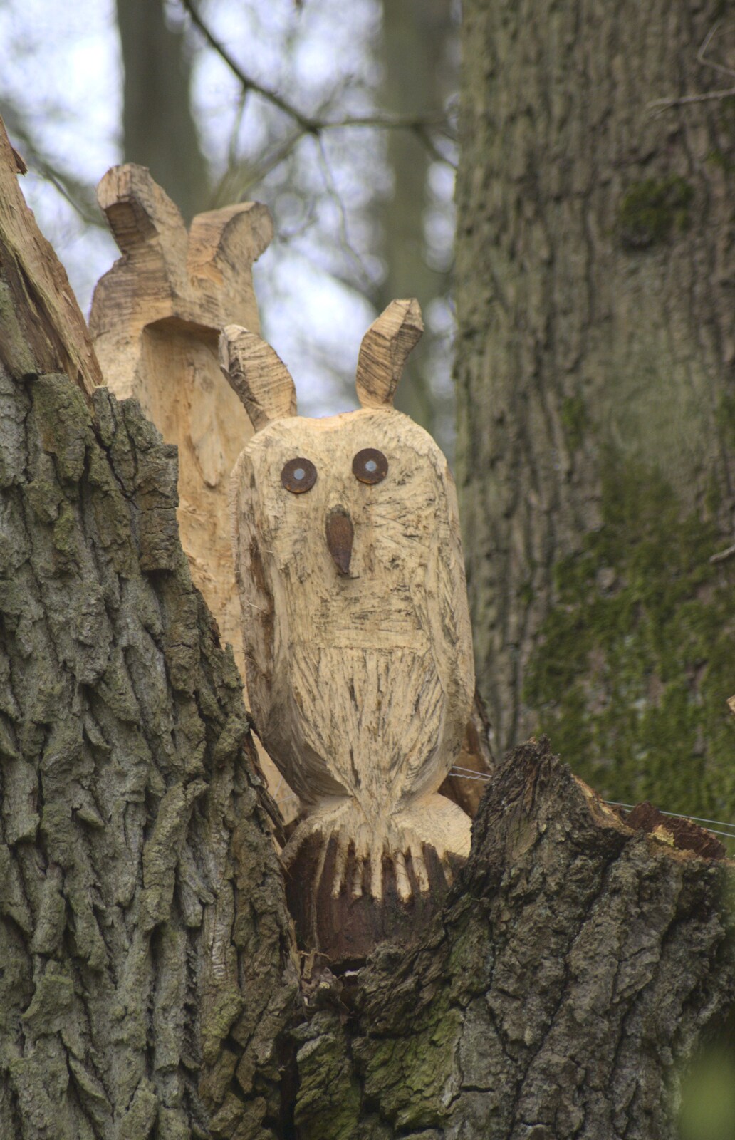 Carved owls in a tree from A Trip To The Coast, Walberswick, Suffolk - 20th March 2011