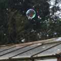 The house is reflected in a floating bubble, Bubbles and Macro Fun, Brome, Suffolk - 17th April 2011