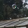 The house is reflected in a floating bubble, Bubbles and Macro Fun, Brome, Suffolk - 17th April 2011