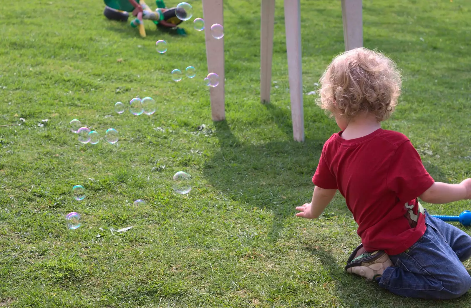 Fred looks around at bubbles, from Bubbles and Macro Fun, Brome, Suffolk - 17th April 2011