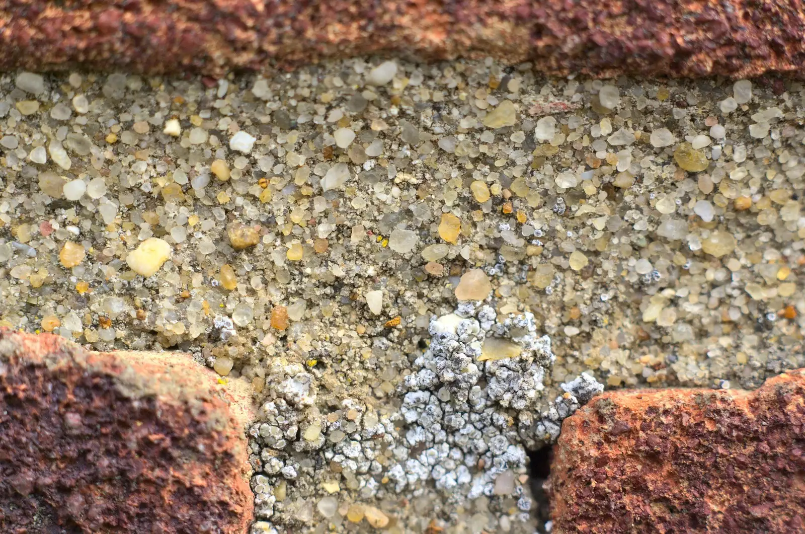 Close-up of brick mortar, from Bubbles and Macro Fun, Brome, Suffolk - 17th April 2011