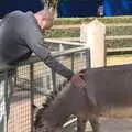 Grandad pats a donkey, Another Day at the Zoo, Banham, Norfolk - 2nd May 2011