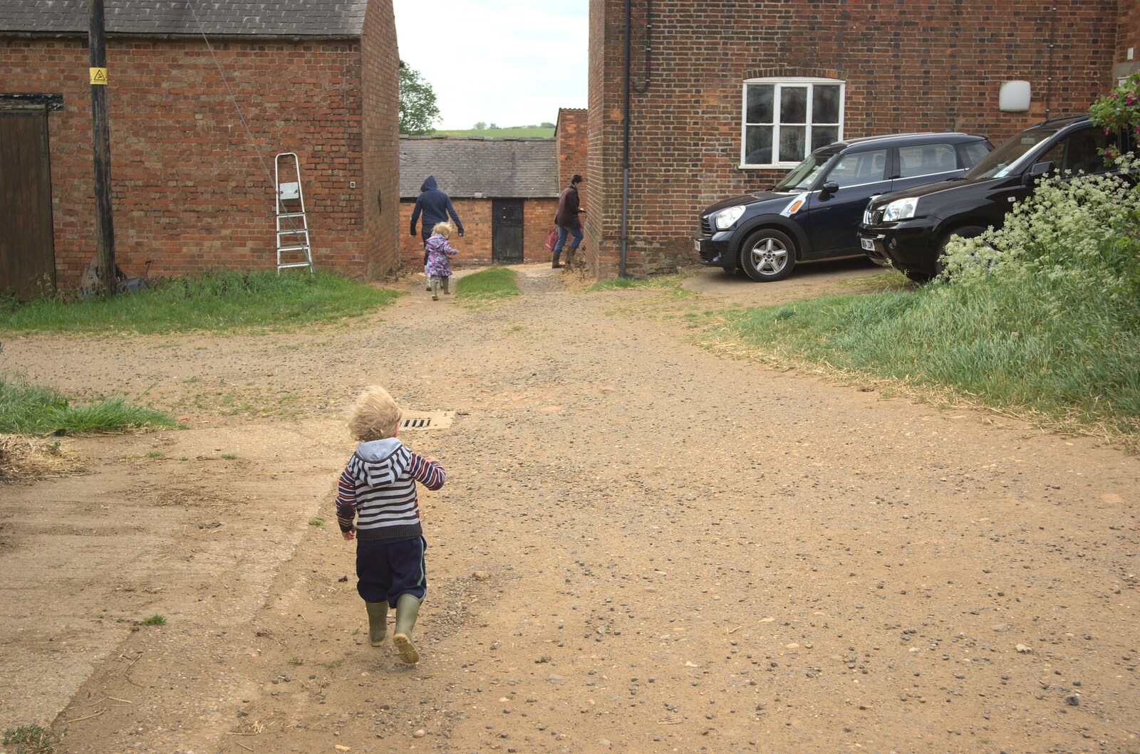 Fred runs about the farmyard from A Christening, Wilford, Northamptonshire - 22nd May 2011