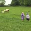 Elizabath and Fred follow the sheep, A Christening, Wilford, Northamptonshire - 22nd May 2011