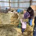 In the lambing shed, A Christening, Wilford, Northamptonshire - 22nd May 2011