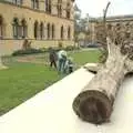 Giant tree stumps outside the museum, A Camper Van Odyssey: Oxford, Salisbury, New Forest and Barton-on-Sea - 19th June 2011