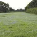A field of delicate linseed, A Camper Van Odyssey: Oxford, Salisbury, New Forest and Barton-on-Sea - 19th June 2011
