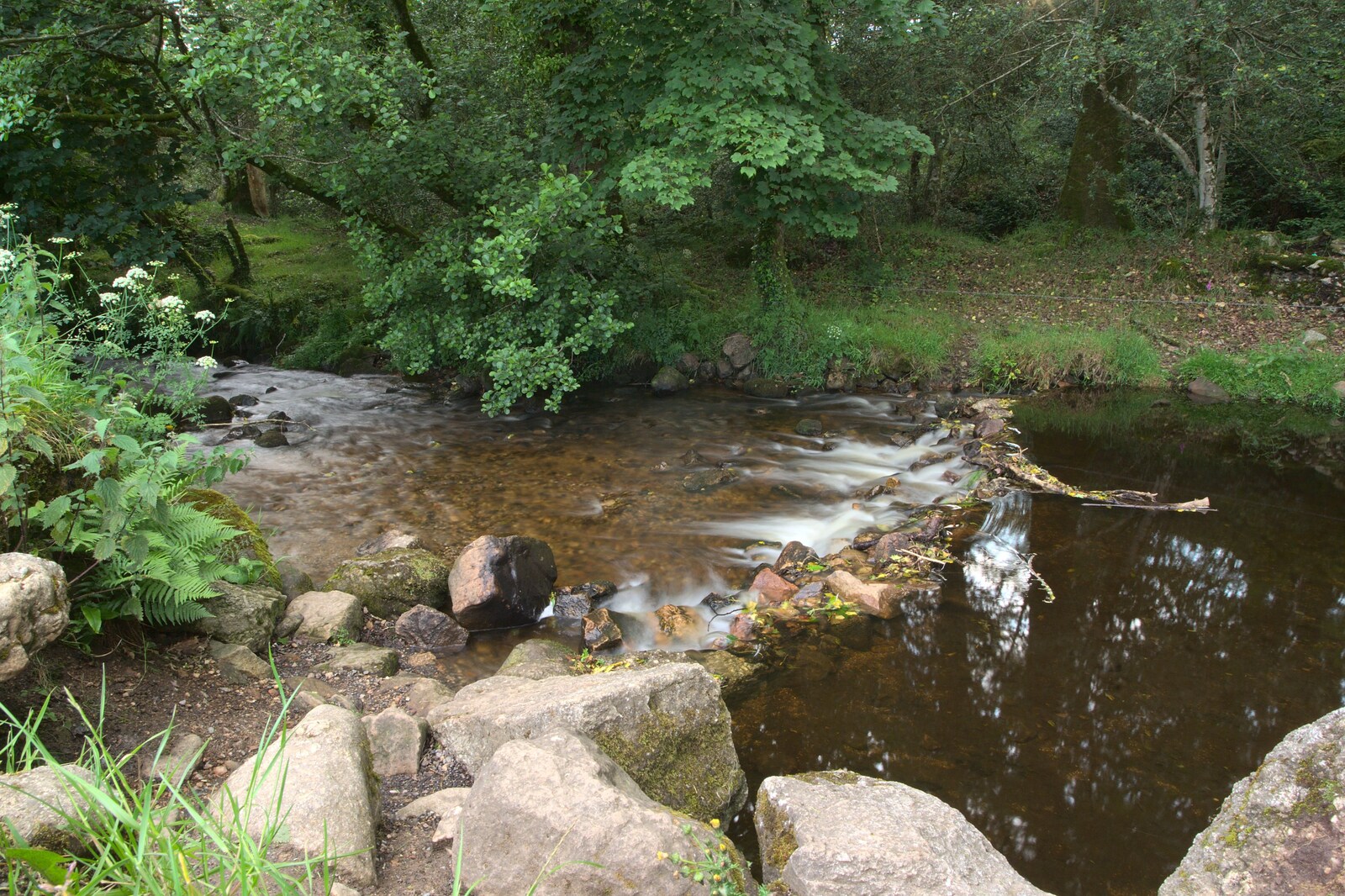 The river by the campsite from A Camper Van Odyssey: Charmouth, Plymouth, Dartmoor and Bath - 20th June 2011