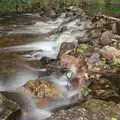 Slow-motion river, A Camper Van Odyssey: Charmouth, Plymouth, Dartmoor and Bath - 20th June 2011