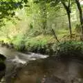 The babbling stream behind the van, A Camper Van Odyssey: Charmouth, Plymouth, Dartmoor and Bath - 20th June 2011