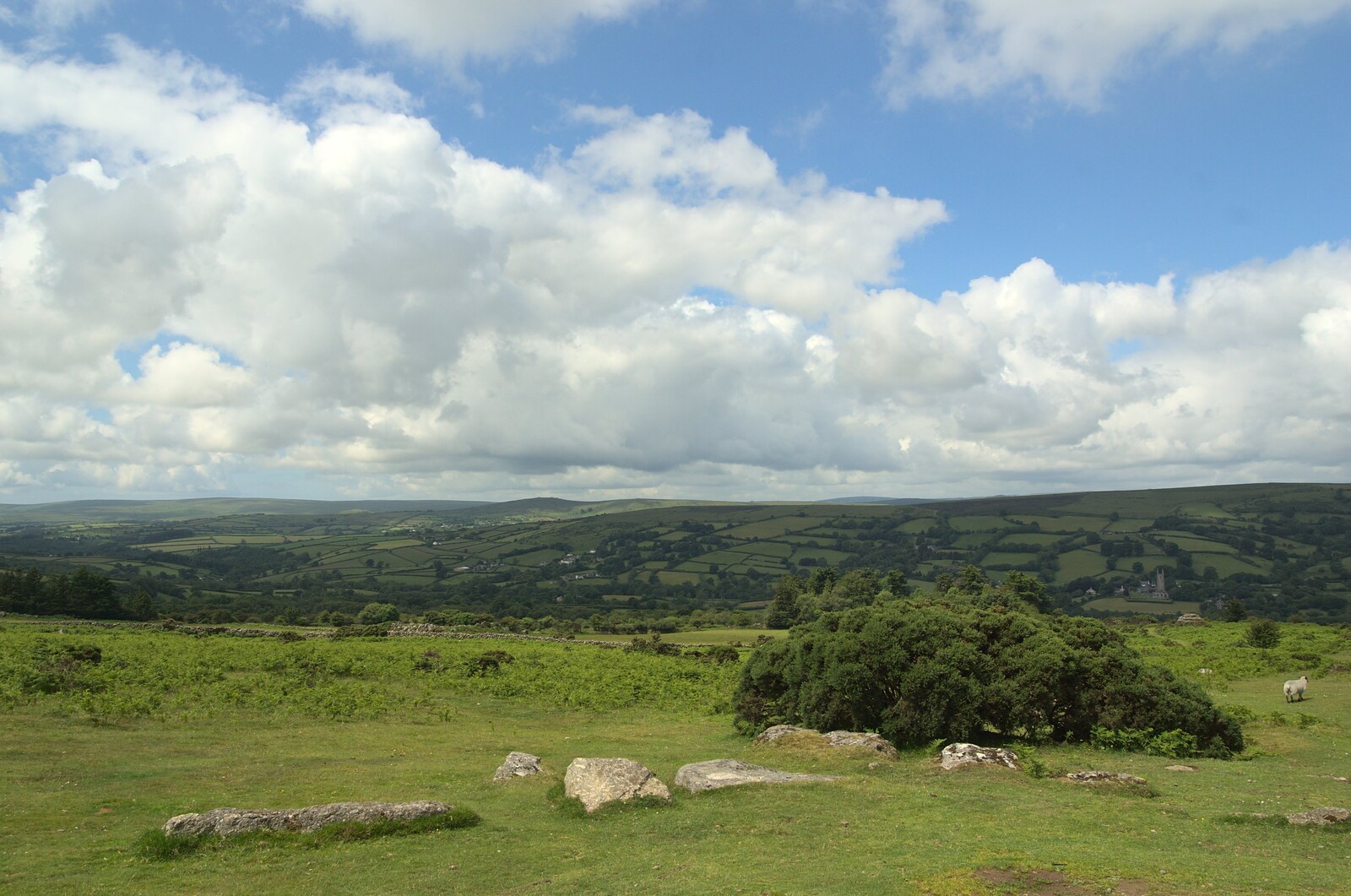 A Dartmoor view from A Camper Van Odyssey: Charmouth, Plymouth, Dartmoor and Bath - 20th June 2011